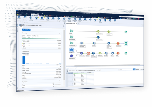 APA_Data-Quality-and-Preparation