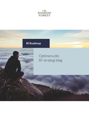 Optimera-BI-strategi